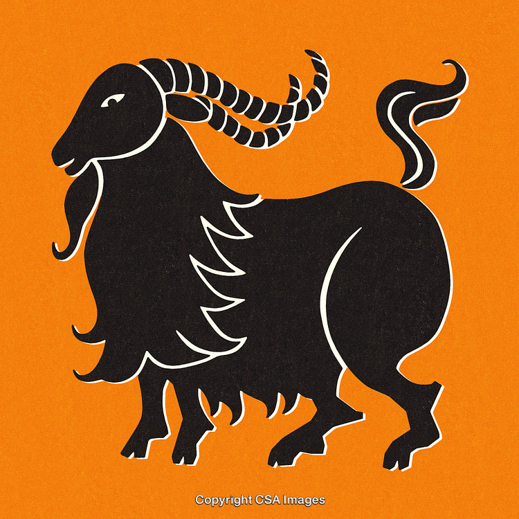 Stylized Illustration of a Goat on an Orange Background