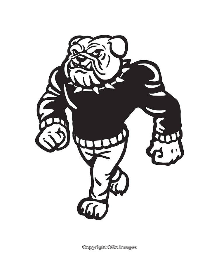 Bold Line Art Illustration of a Walking Bulldog Mascot in Black and White