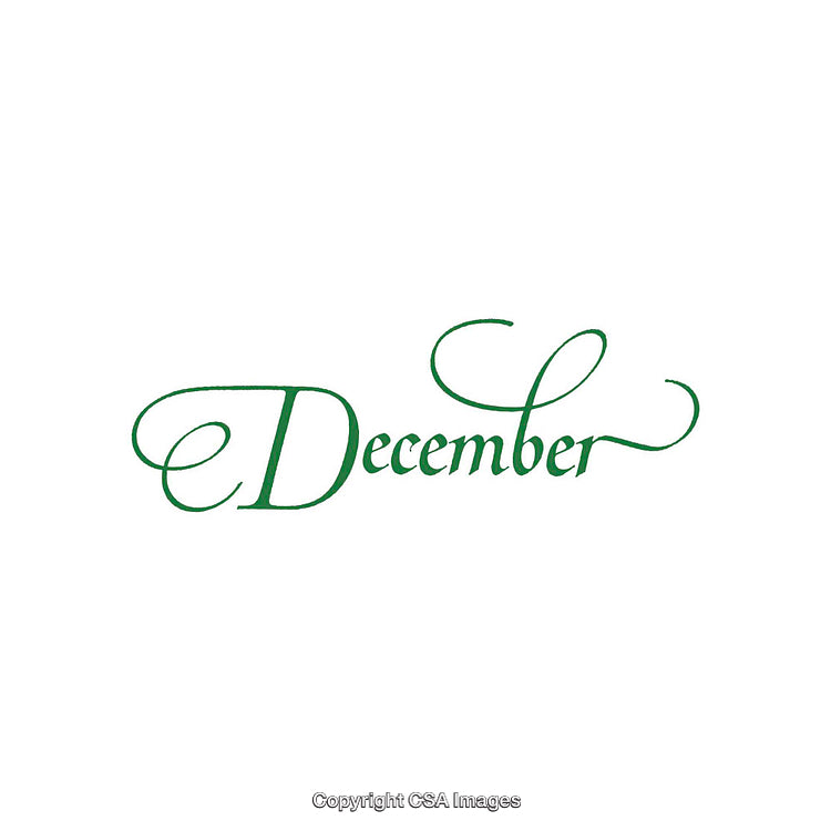 Elegant Green December Text in Script Typeface on White Background