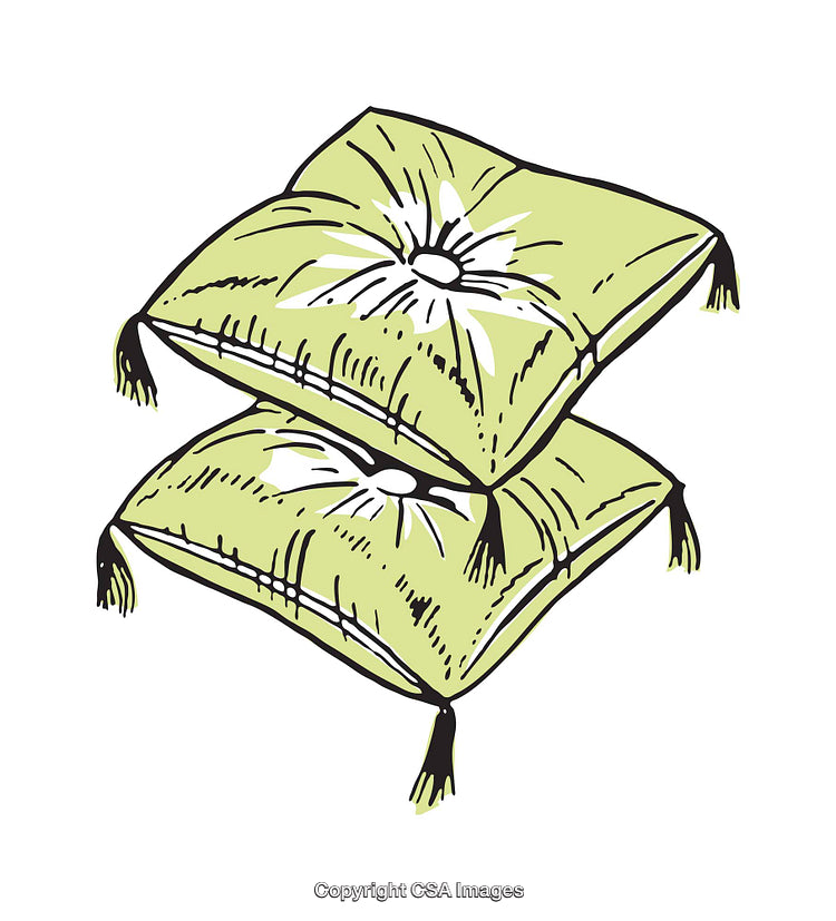 Illustration of Two Green Cushions with Floral Designs and Tassel Accents