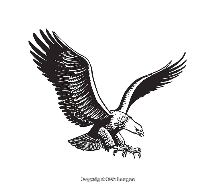 Elegant Black and White Line Art of a Flying Eagle in Motion