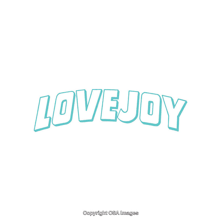 Minimalistic Typography Featuring the Word 'Lovejoy' in Light Blue on White