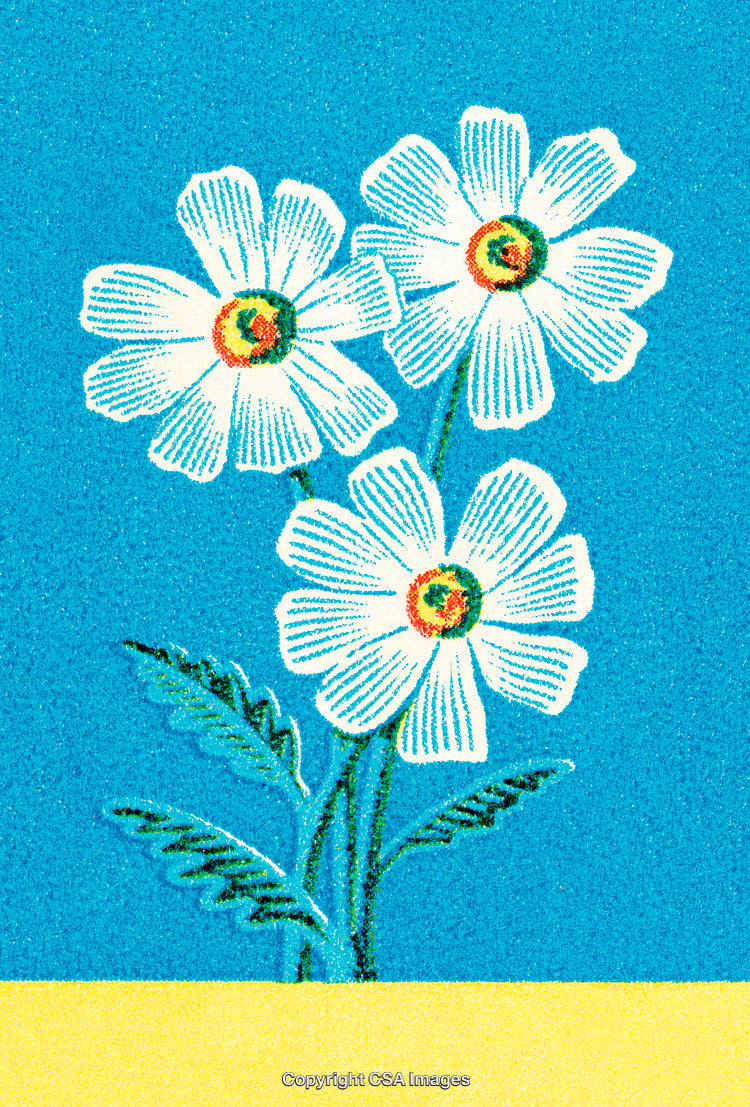Digital Artwork of White Flowers Illustrating Simplicity and Elegance Against Blue