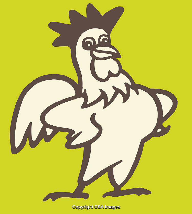 Cartoon Illustration of a Confident Rooster on a Bold Background