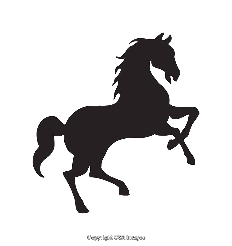 Silhouette of a Majestic Rearing Horse in Black and White Art