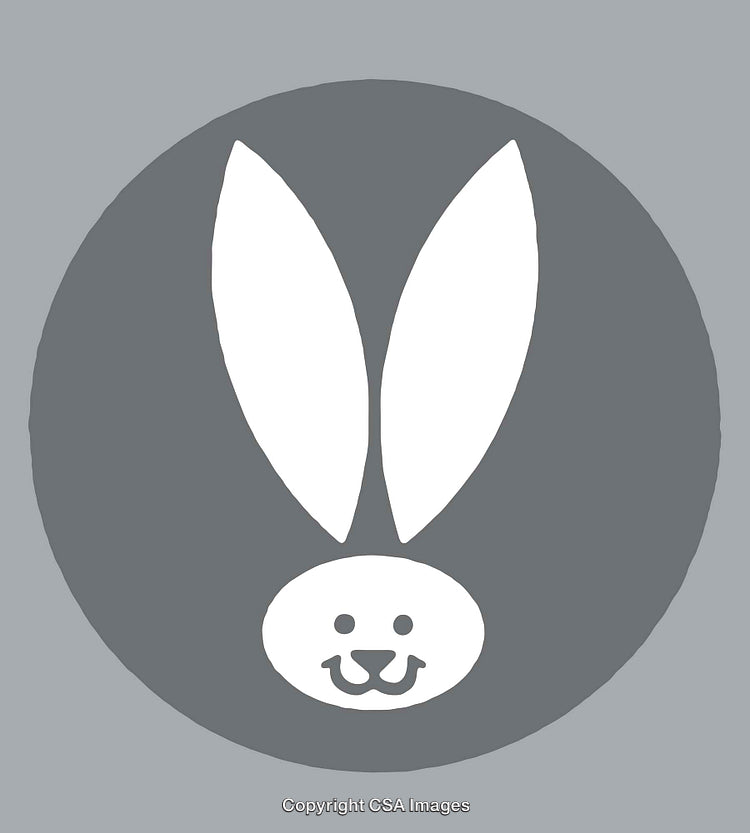 Minimalistic Illustration of a Rabbit Face with Ears in White and Gray