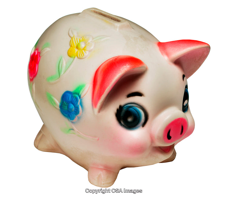 Adorable Floral Piggy Bank with Colorful Detailing and Charming Features