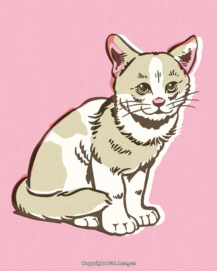 Stylized Illustration of a Cute Sitting Cat Against a Pink Background