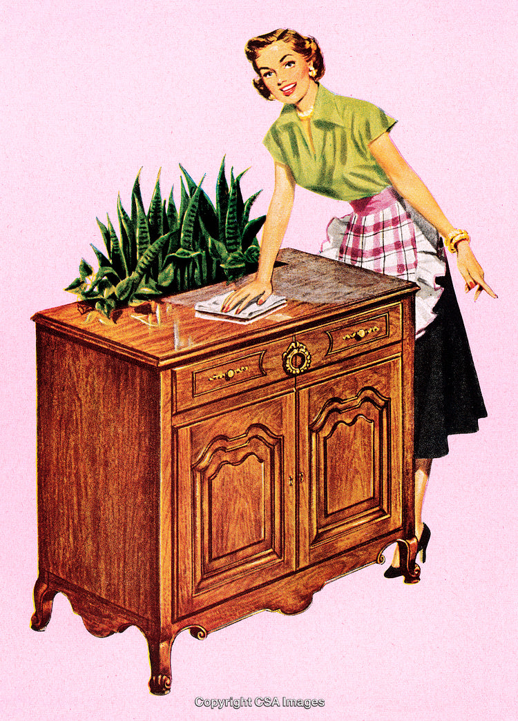 Vintage Illustration of a Woman Cleaning a Wooden Cabinet with Plants