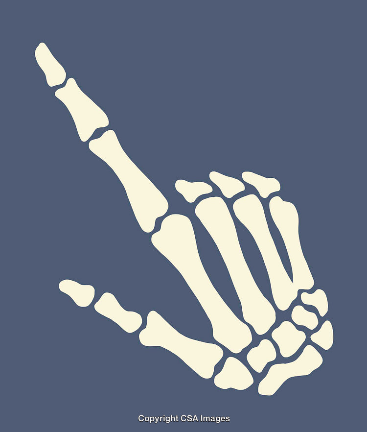 Skeleton Hand Illustration Showing Bone Anatomy on Solid Background