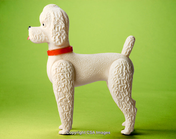 Side Profile of a White Dog Toy on Green Background