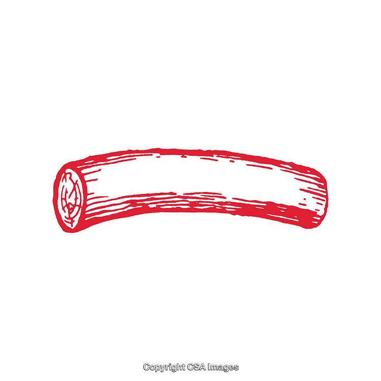 Hand-Drawn Red Illustration of a Wooden Log on White Background