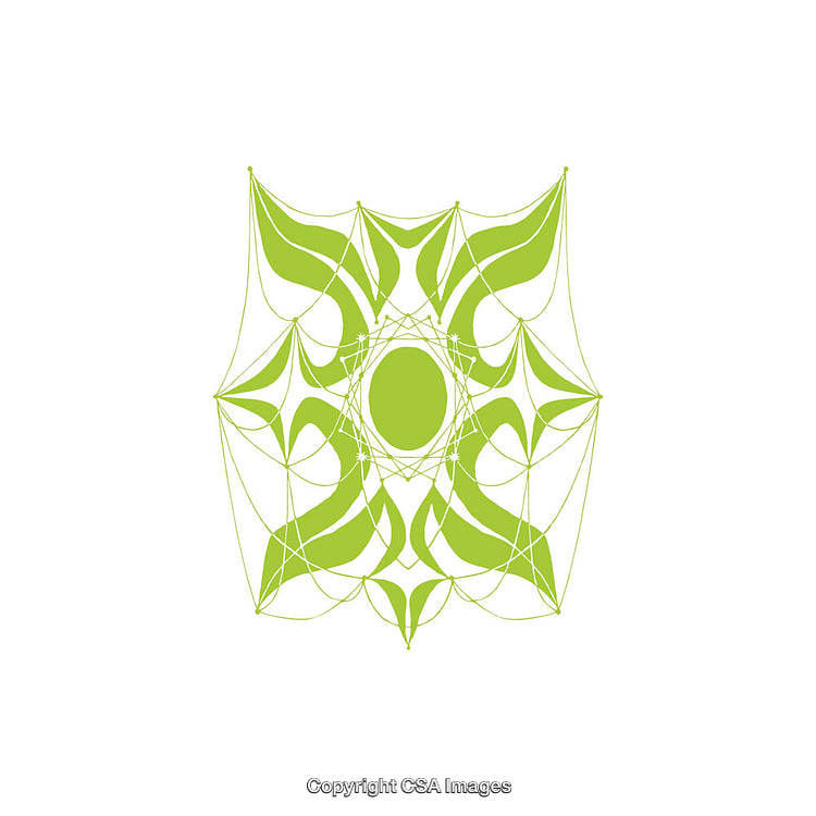 Abstract Geometric Symmetrical Green Design with Intricate Web-Like Patterns
