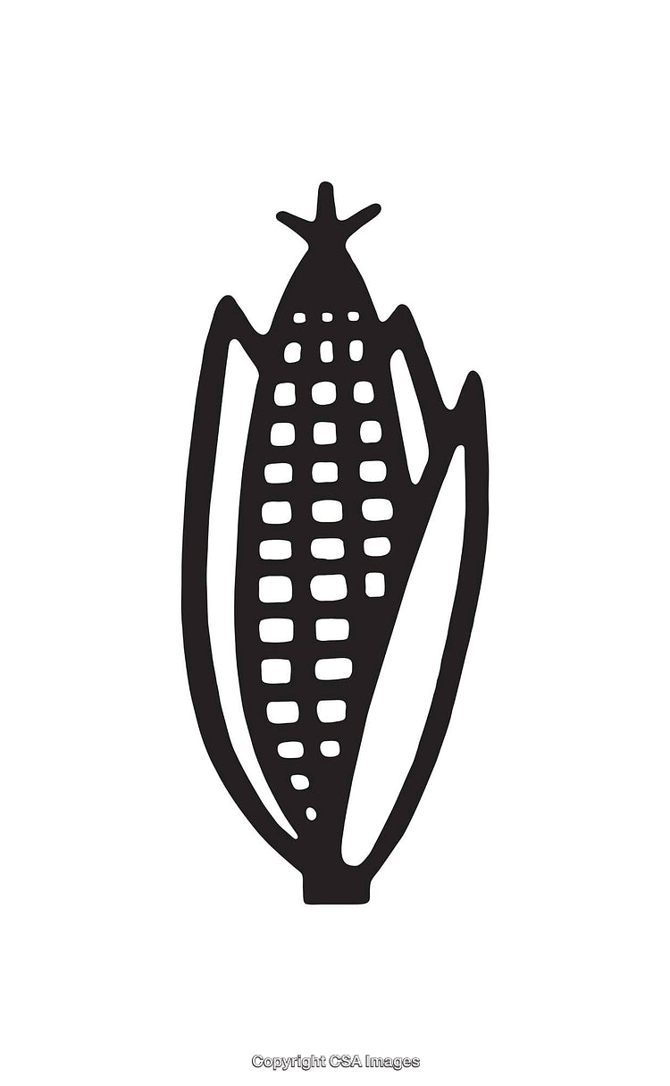 Black and White Corn Cob Icon with Minimalist Design