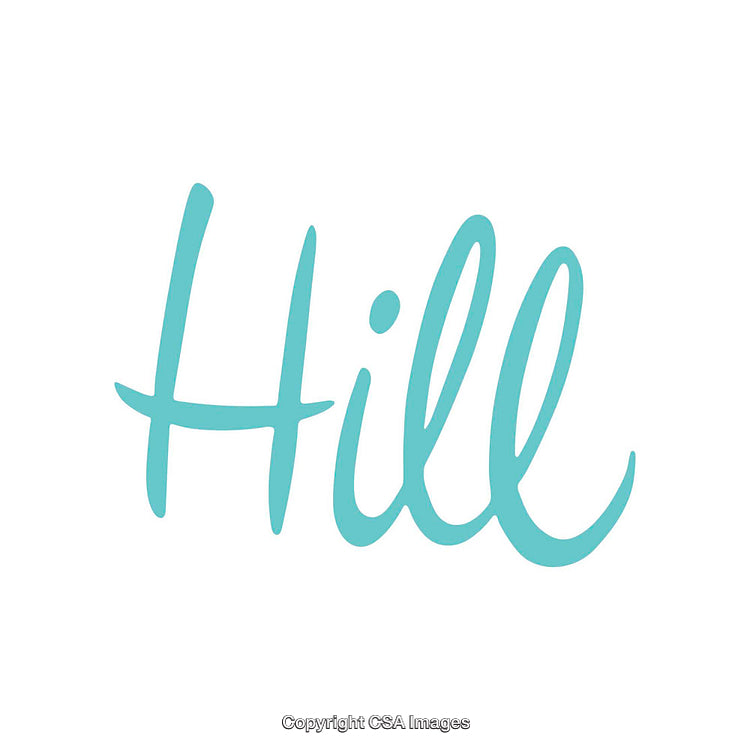 Stylish Turquoise Script Typography on Minimal White Background
