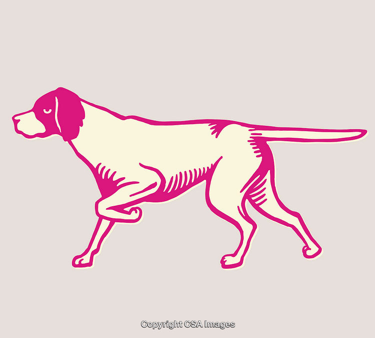 Retro-Style Line Art Illustration of a Walking Dog