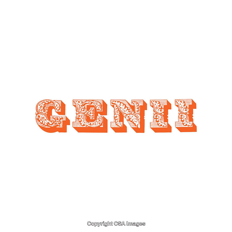 Ornate Orange Typography Design Featuring Stylized Decorative Lettering