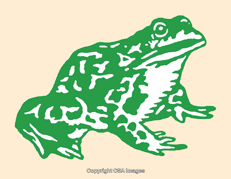 Green Line Art Illustration of a Frog on a Pale Background