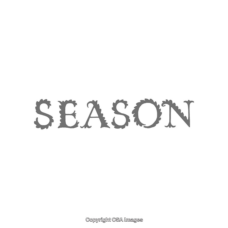 Seasonal Typography Display With Decorative Lettering in Gray-Colored Style