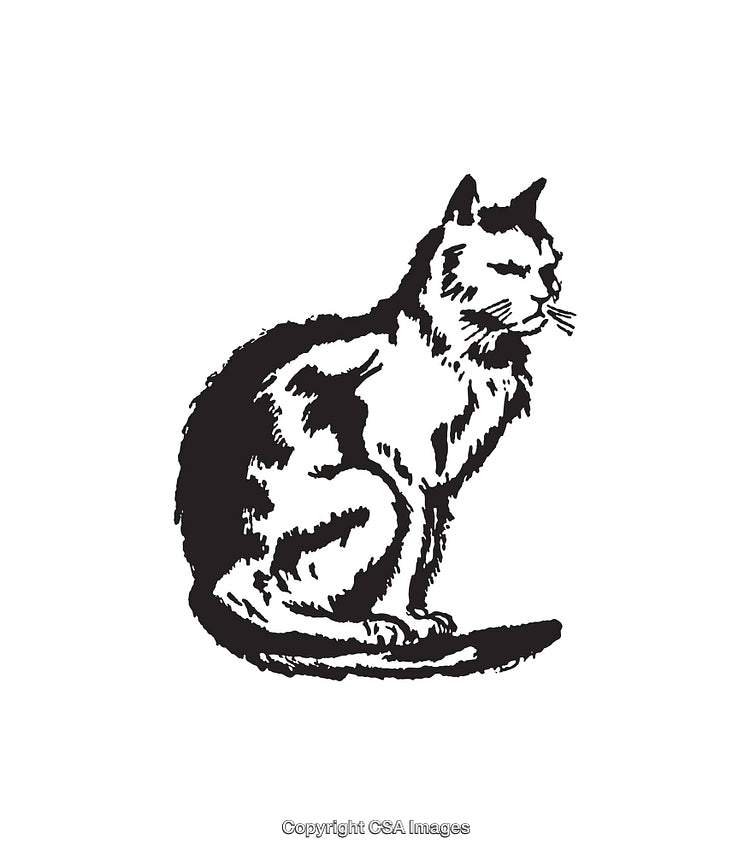 Black And White Line Art Illustration of a Sitting Cat