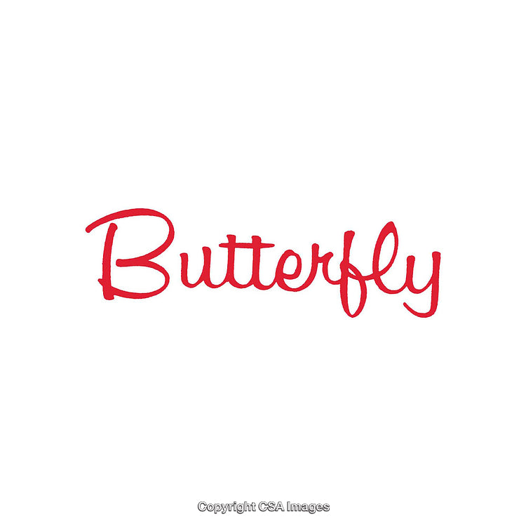 Red Cursive Butterfly Text on Clean White Background