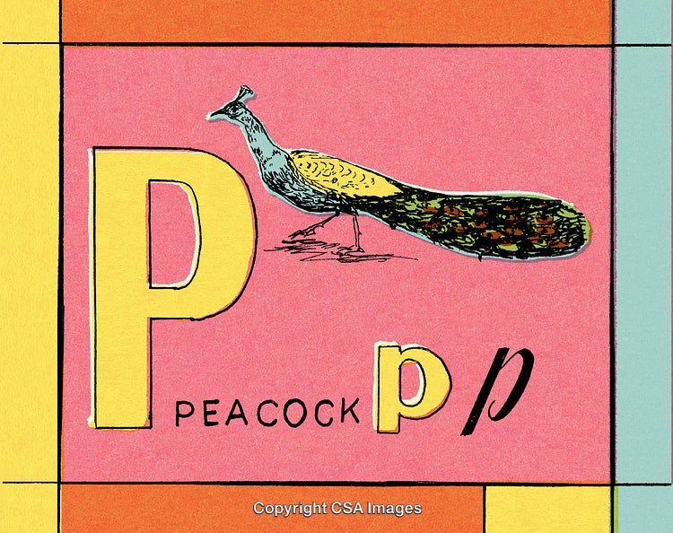 Illustrated Alphabet Card Featuring a Peacock with Artistic Vintage Design
