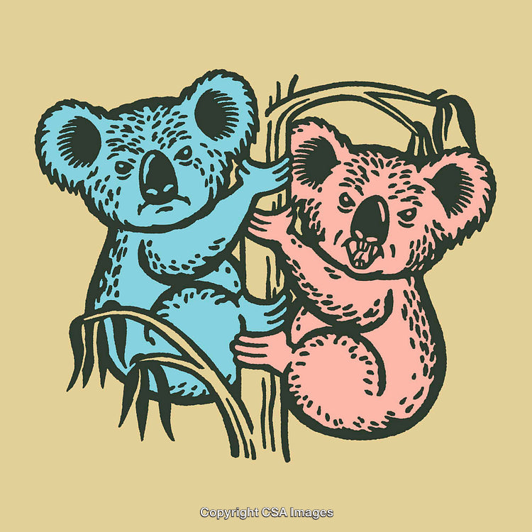 Whimsical Color Illustration of Two Koalas Climbing a Tree