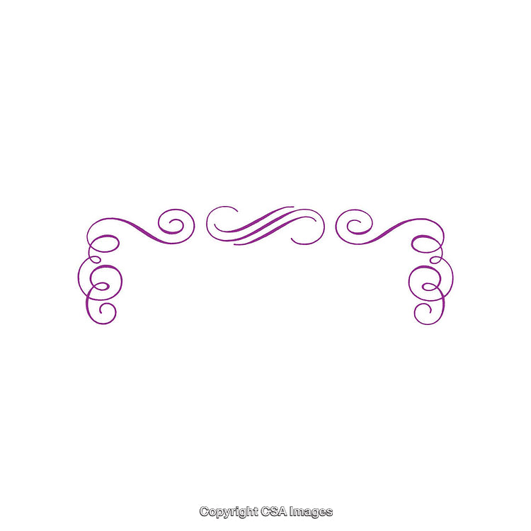 Ornate Purple Border With Swirling Decorative Lines on White Background