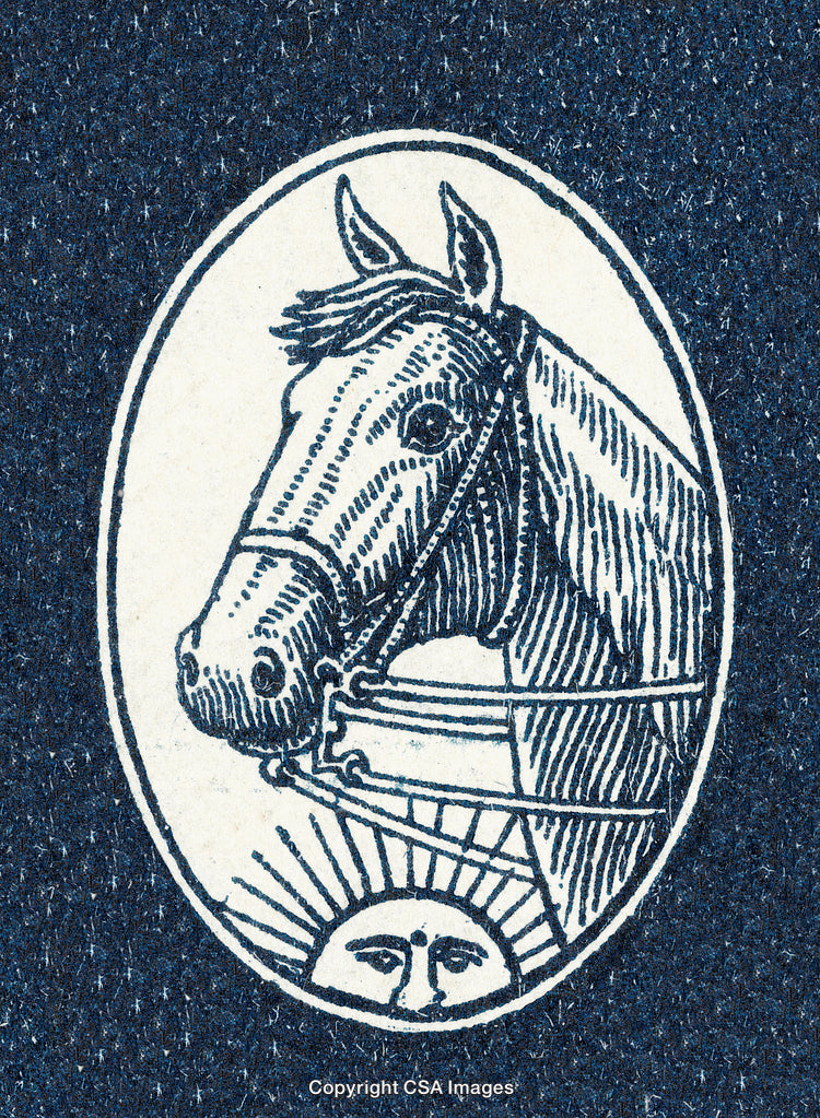 Vintage Illustration of a Horse Symbol with Sun and Radiant Background