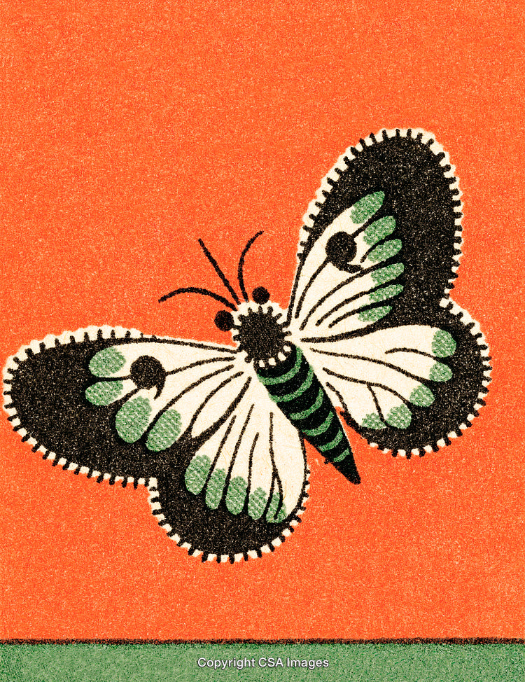 Colorful Butterfly Illustration Against Vibrant Orange Background