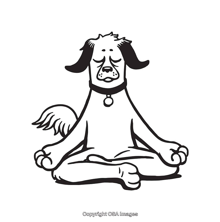 Meditating Dog in Black and White Line Art Illustration