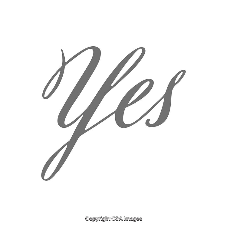 Elegant Calligraphy Typography Design Featuring the Word 'Yes' in Gray Script