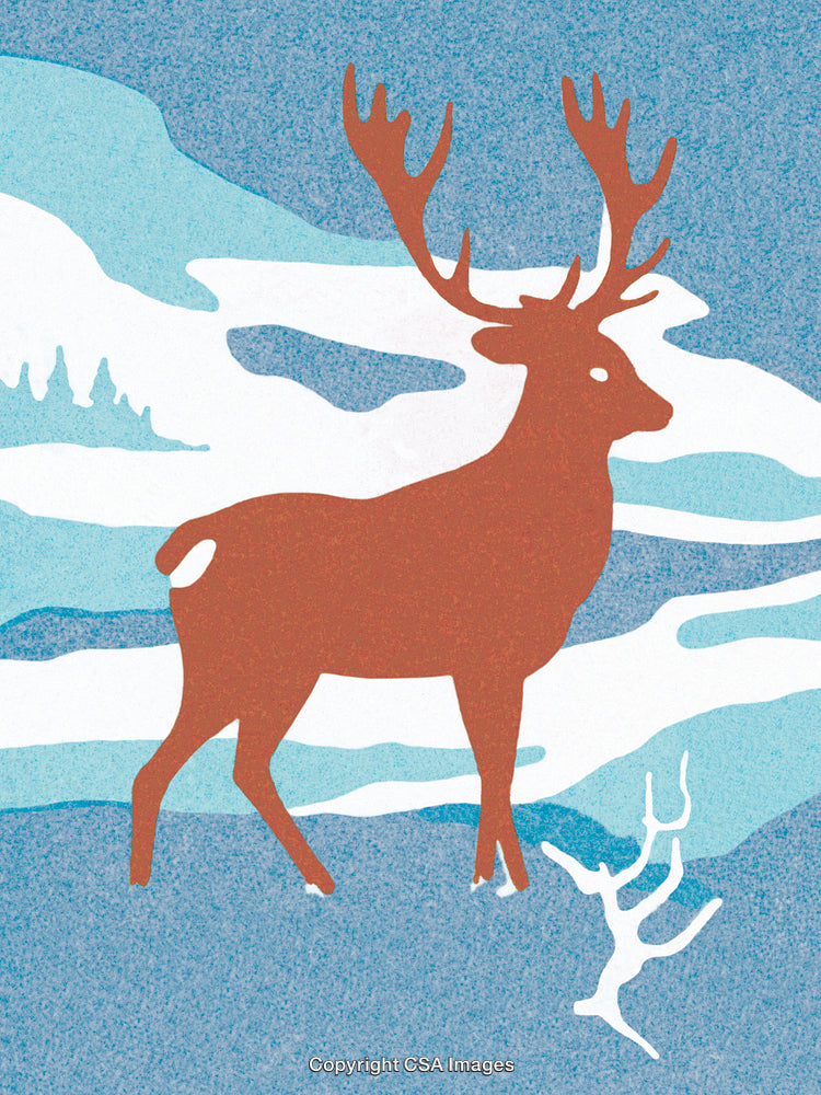 Illustration of a Deer in a Snowy Winter Landscape With Tree Branch