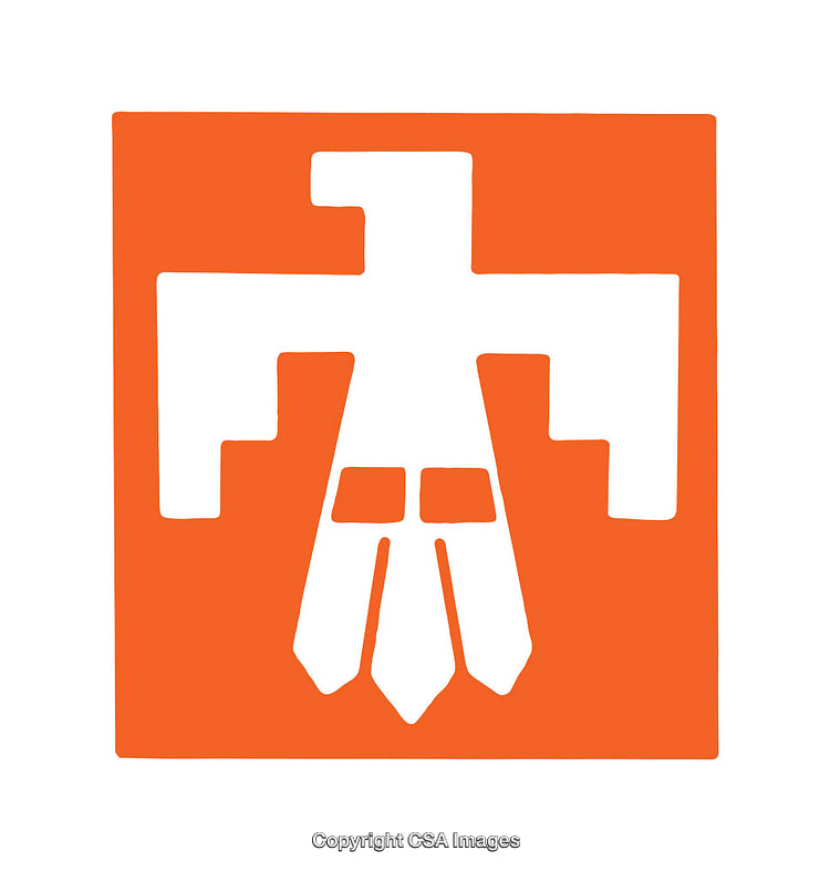 Abstract Orange And White Geometric Icon of a Stylized Bird with Wings