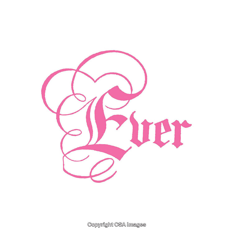 Elegant Pink Script Typography Design with Ornamental Details