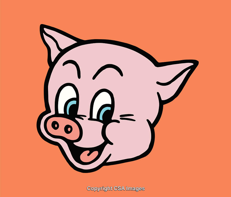 Cartoon Pink Pig Face with Expressive Features on Orange Background