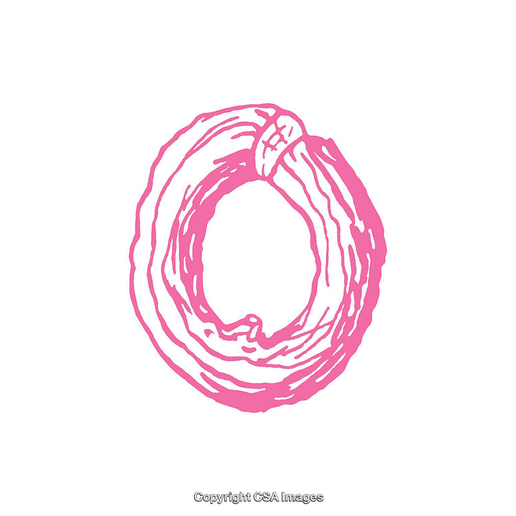 Stylized Pink Letter O Artwork Illustration on White Background