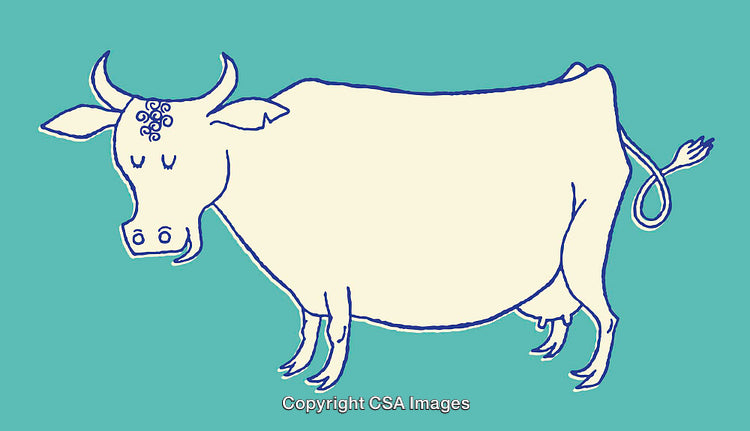 Colorful Line Art Illustration of a Peaceful Cow on Blue Background