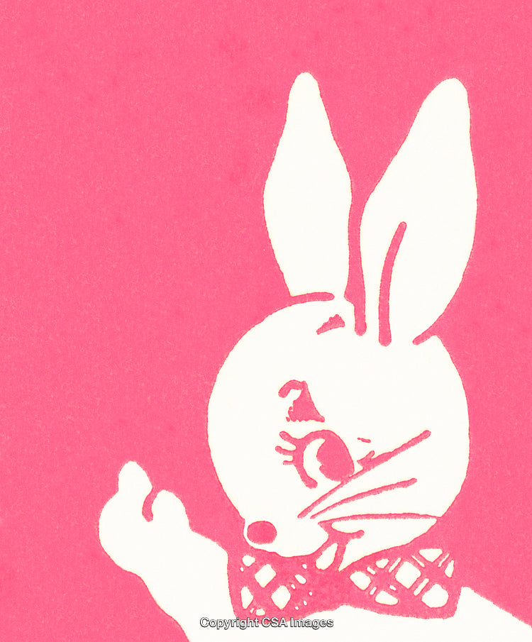Cute Bunny Illustration with Retro Style on Bright Pink Background