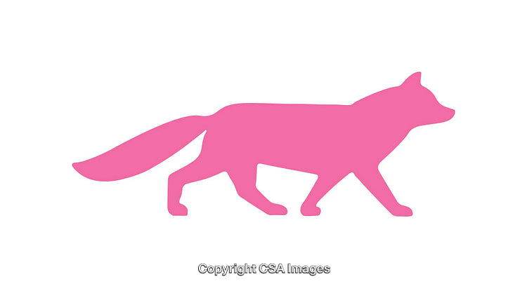 Pink Silhouette of a Fox in Profile on a White Background