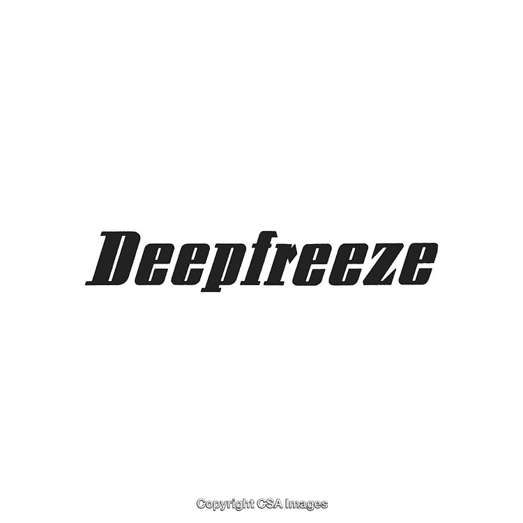 Bold Retro Styled Deepfreeze Logo on a Clean White Background
