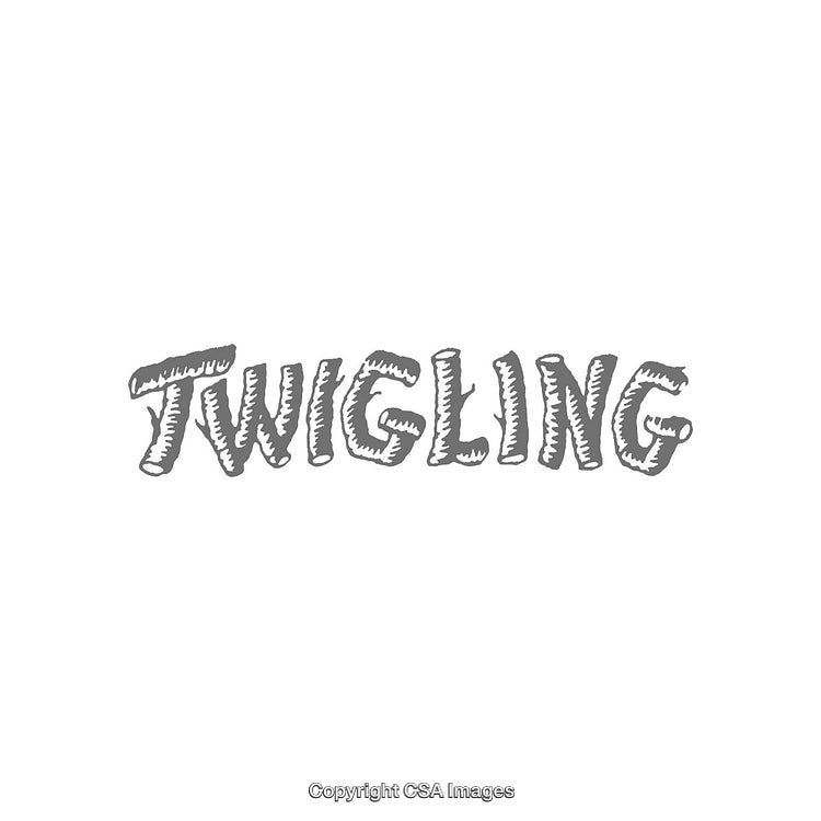 Creative Typography Display Featuring Distinctive Artistic Hand-Drawn Lettering Style