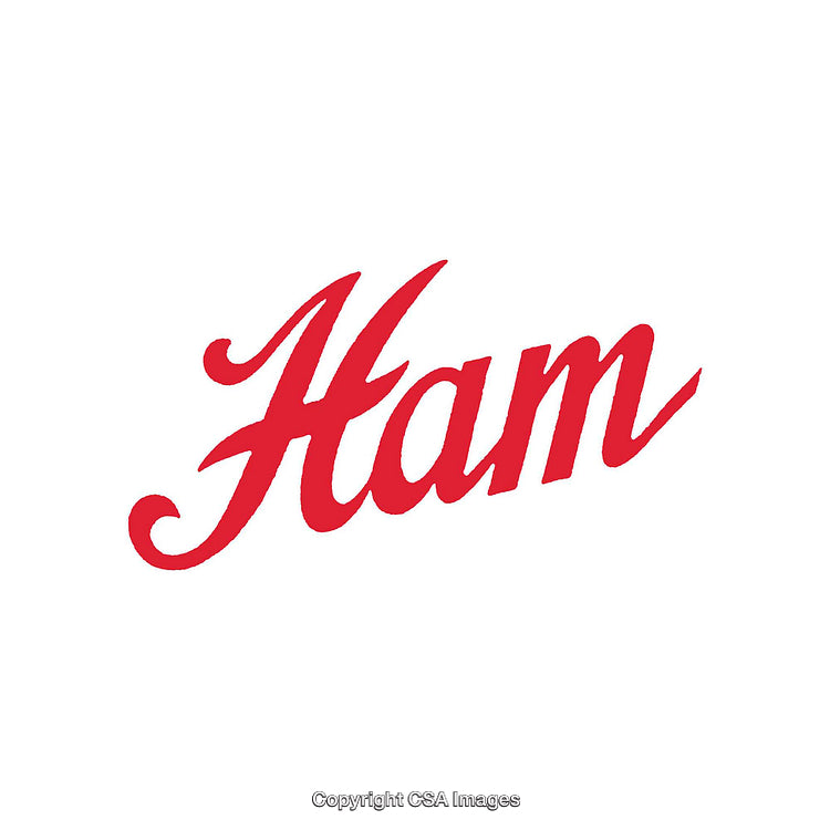 Elegant Red Cursive Typography Design Featuring the Word 'Ham'