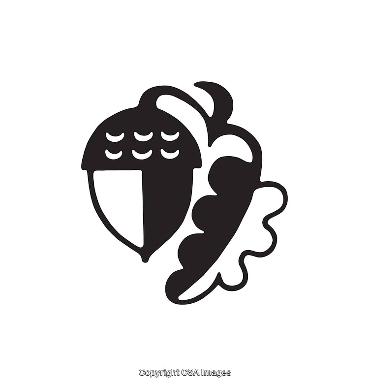 Black and White Acorn and Oak Leaf Icon Design