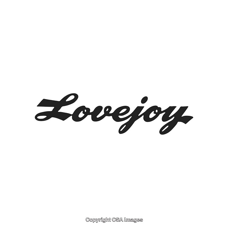 Lovejoy Logo Design Featuring Script Text on a Minimalist White Background