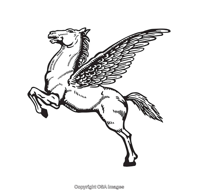 Black and White Line Art Illustration of a Winged Pegasus Rearing Majestically