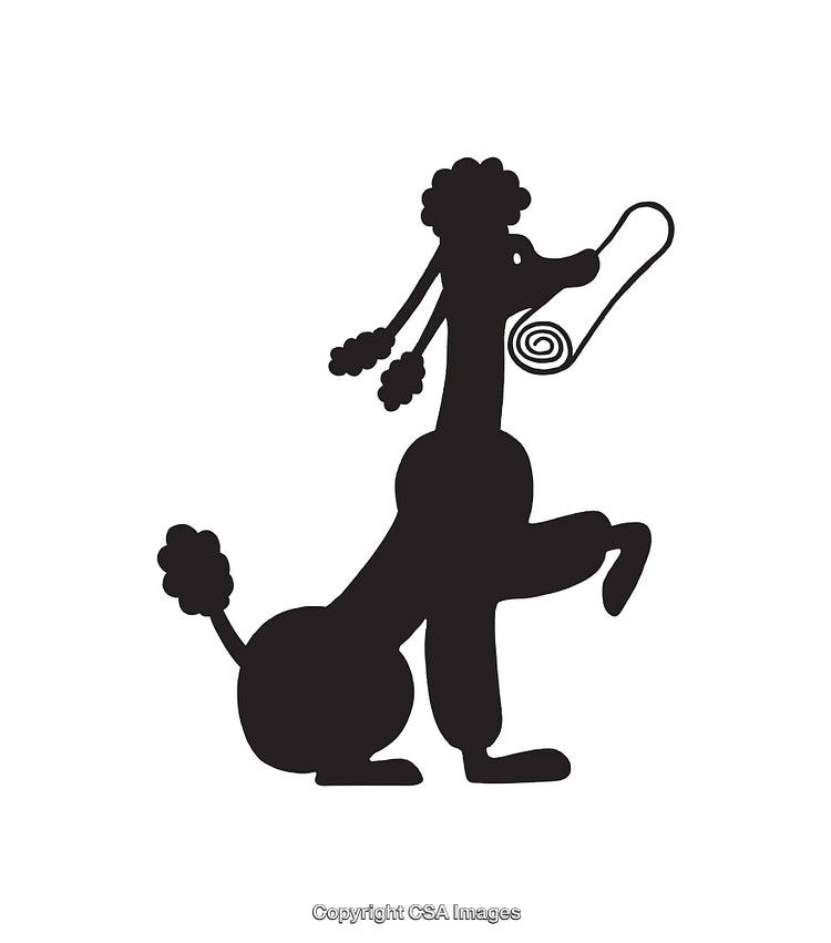 Elegant Line Art Illustration of a Playful Poodle With Rolled Mat