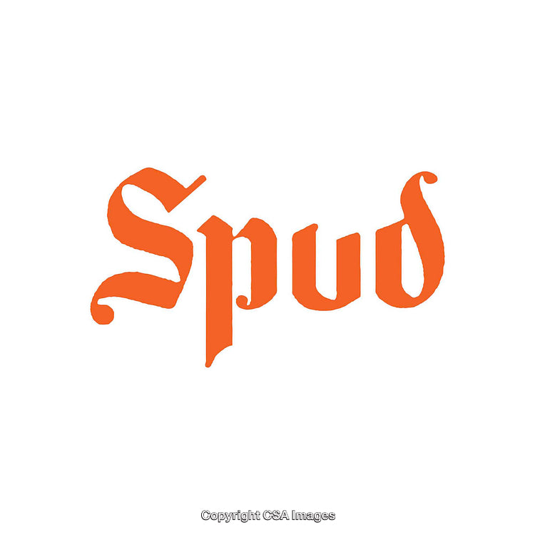 Bold Orange Text Logo with Artistic Typography Features