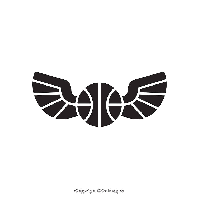 Black and White Winged Basketball Abstract Emblem Line Art Design