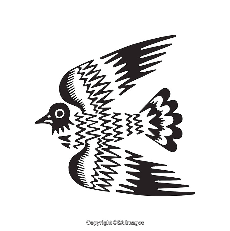 Black and White Abstract Illustration of a Flying Bird in Line Art